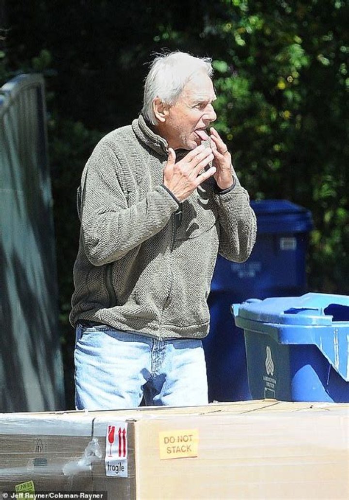 Retired Mark Harmon walks his dog in first sighting since leaving NCIS